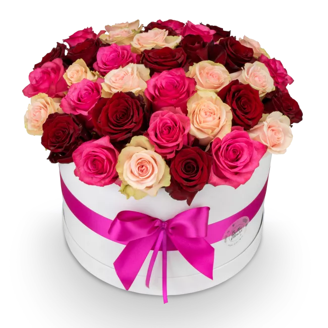 Květinový box růží